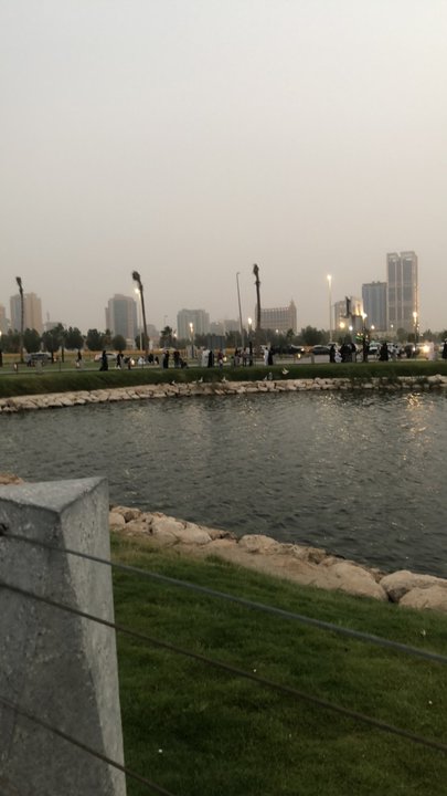 مشاركاتي في أنت الراصد