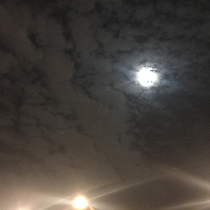 مشاركاتي في أنت الراصد