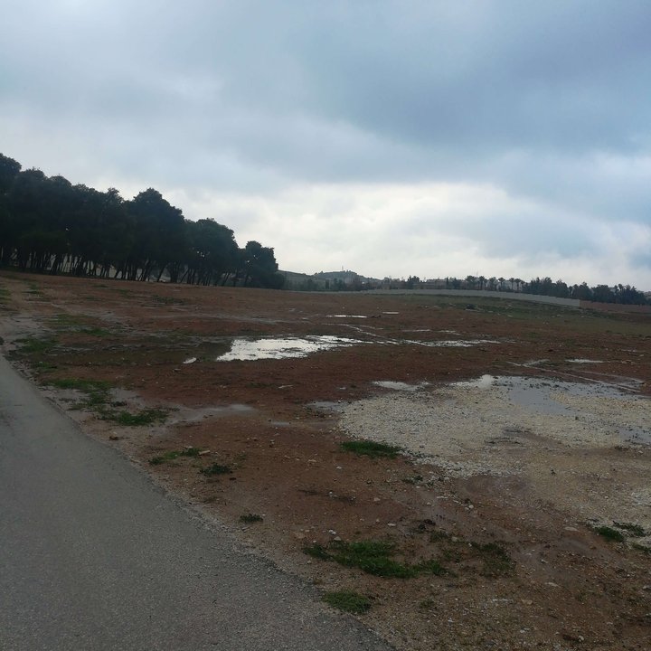 My Crowdsourcing Posts