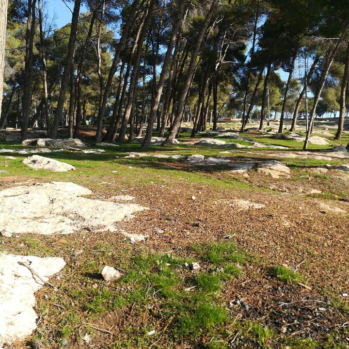 My Crowdsourcing Posts