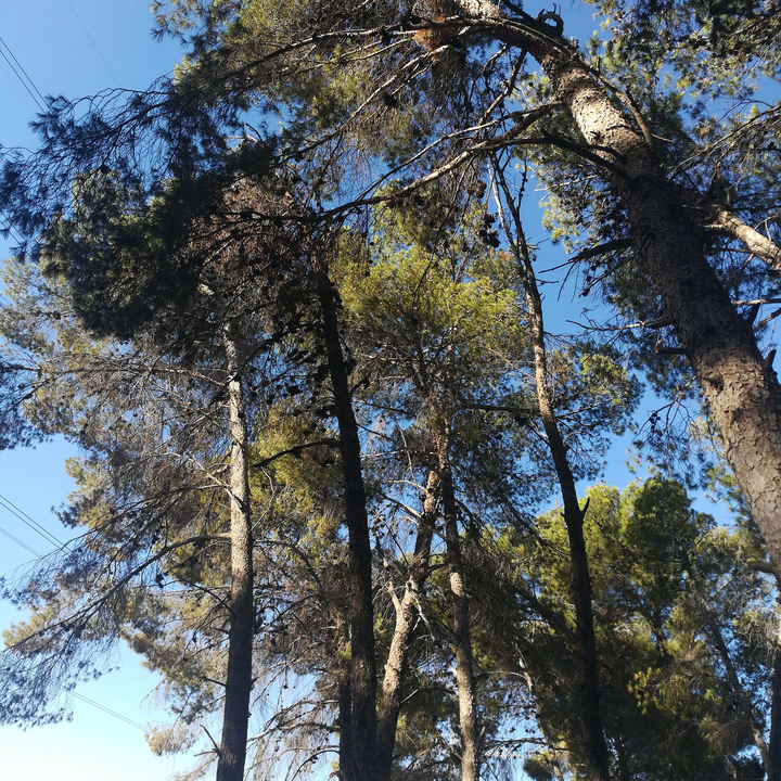 My Crowdsourcing Posts