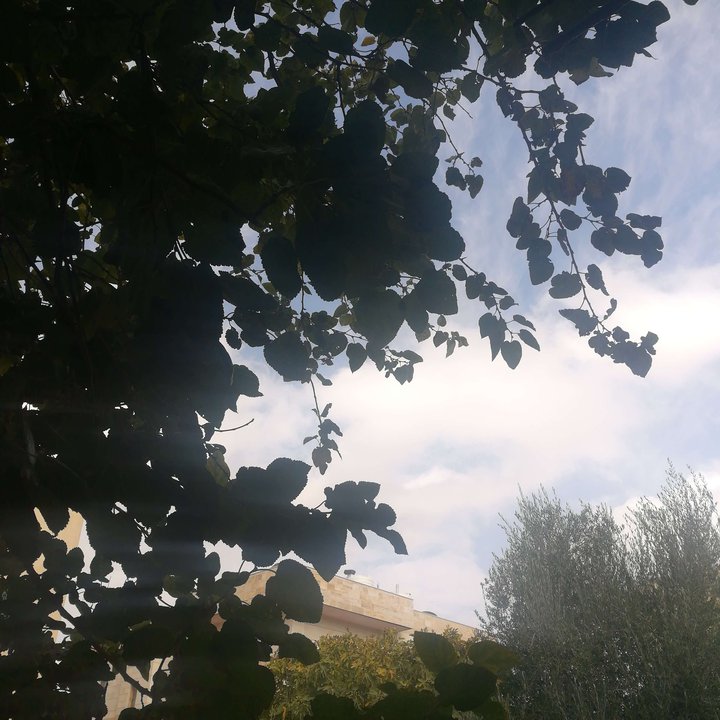 My Crowdsourcing Posts