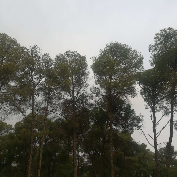 My Crowdsourcing Posts