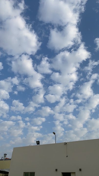 مشاركاتي في أنت الراصد