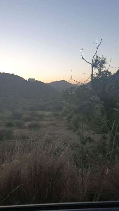 مشاركاتي في أنت الراصد