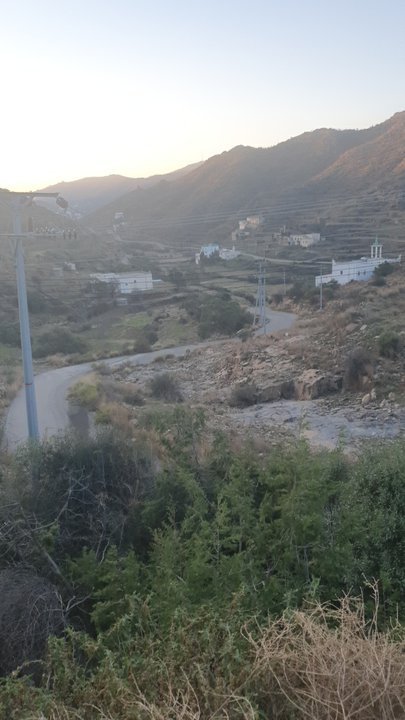 مشاركاتي في أنت الراصد