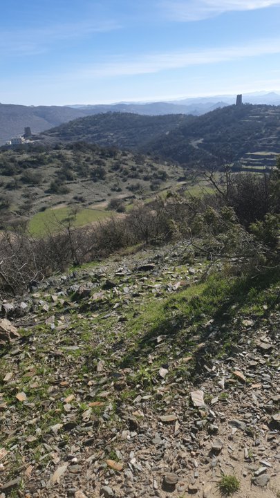 مشاركاتي في أنت الراصد