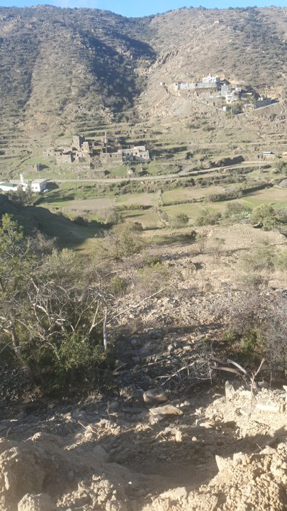 مشاركاتي في أنت الراصد