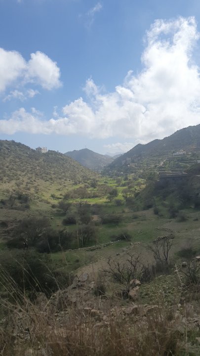 مشاركاتي في أنت الراصد