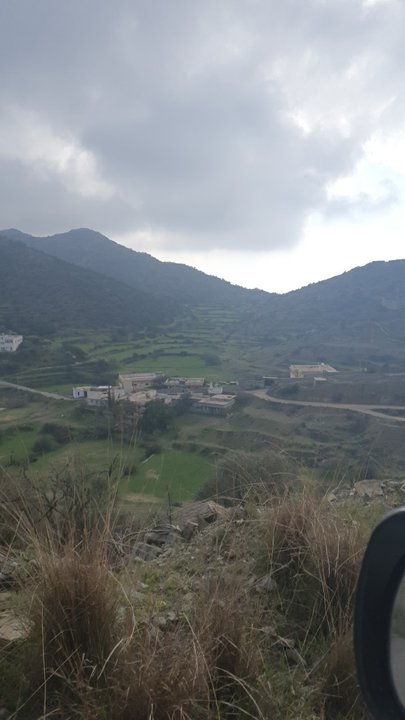 مشاركاتي في أنت الراصد