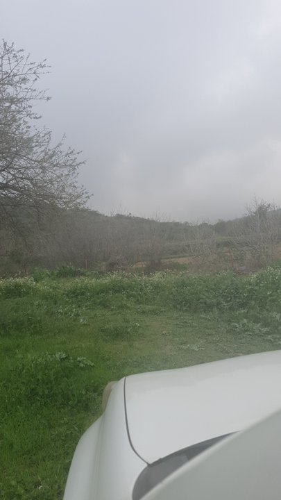 مشاركاتي في أنت الراصد