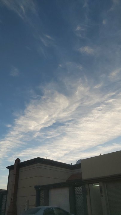 مشاركاتي في أنت الراصد