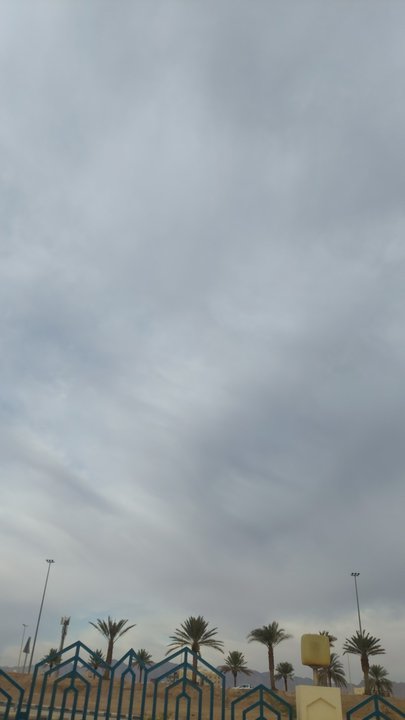 مشاركاتي في أنت الراصد