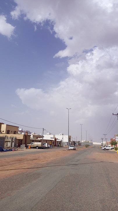 مشاركاتي في أنت الراصد