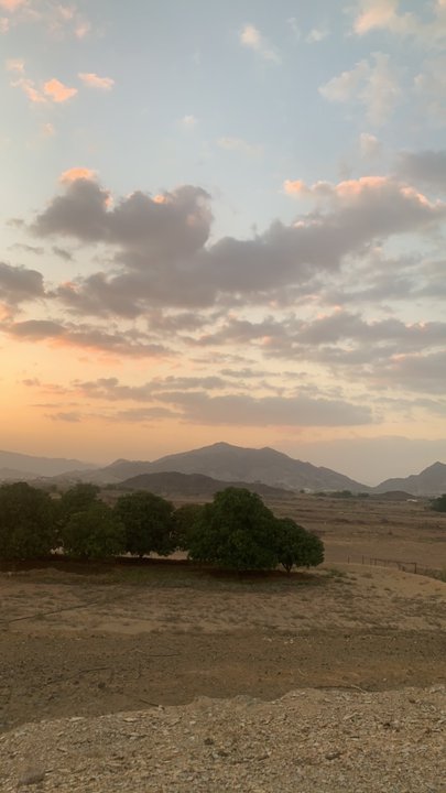 مشاركاتي في أنت الراصد