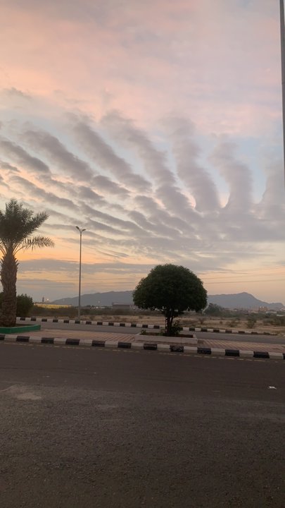 مشاركاتي في أنت الراصد