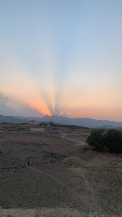 مشاركاتي في أنت الراصد