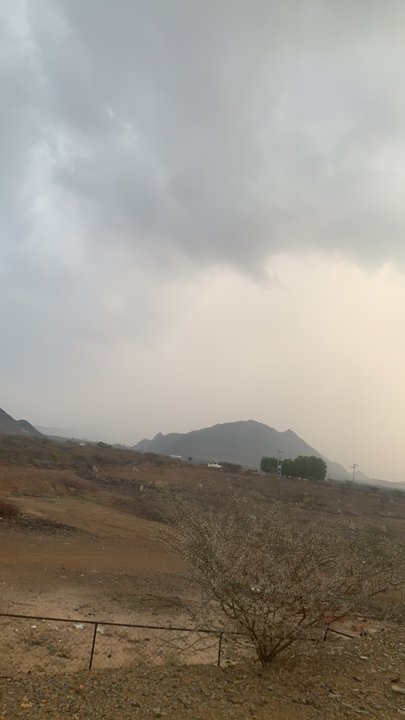 مشاركاتي في أنت الراصد