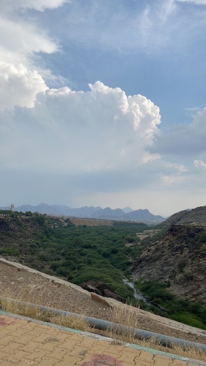 مشاركاتي في أنت الراصد