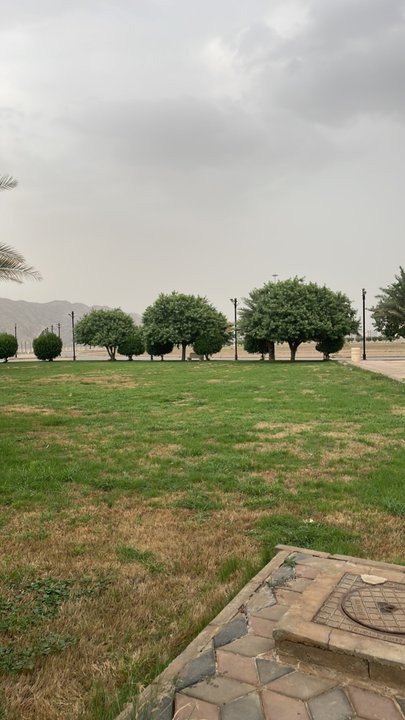 Mes publications Crowdsourcing