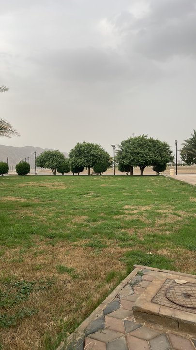 Mes publications Crowdsourcing