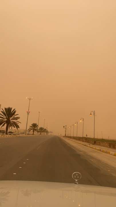 مشاركاتي في أنت الراصد