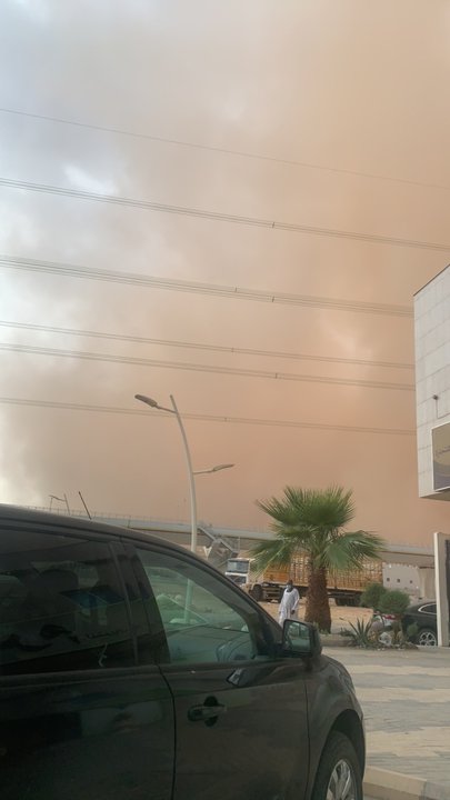 مشاركاتي في أنت الراصد