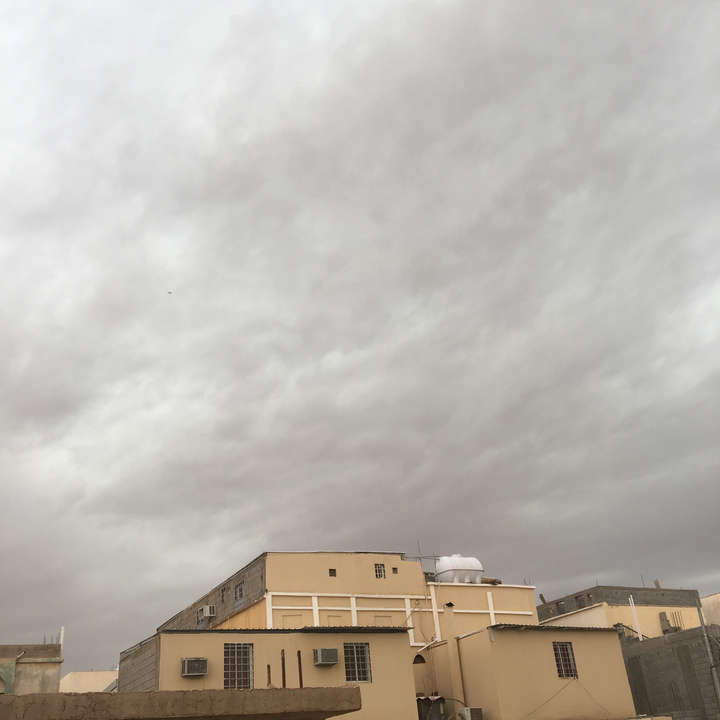 مشاركاتي في أنت الراصد