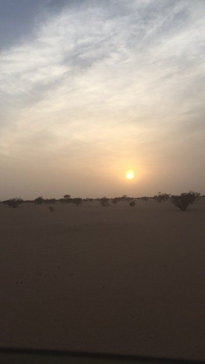 مشاركاتي في أنت الراصد