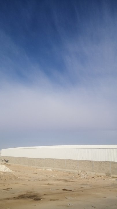 مشاركاتي في أنت الراصد