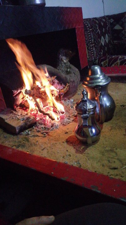 مشاركاتي في أنت الراصد