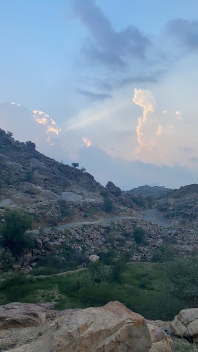 مشاركاتي في أنت الراصد