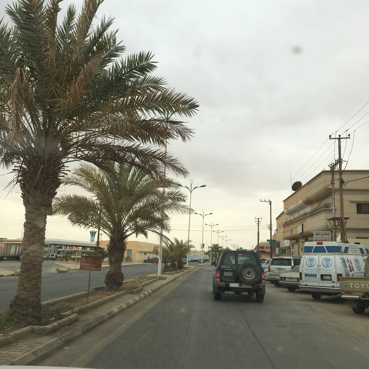 مشاركاتي في أنت الراصد