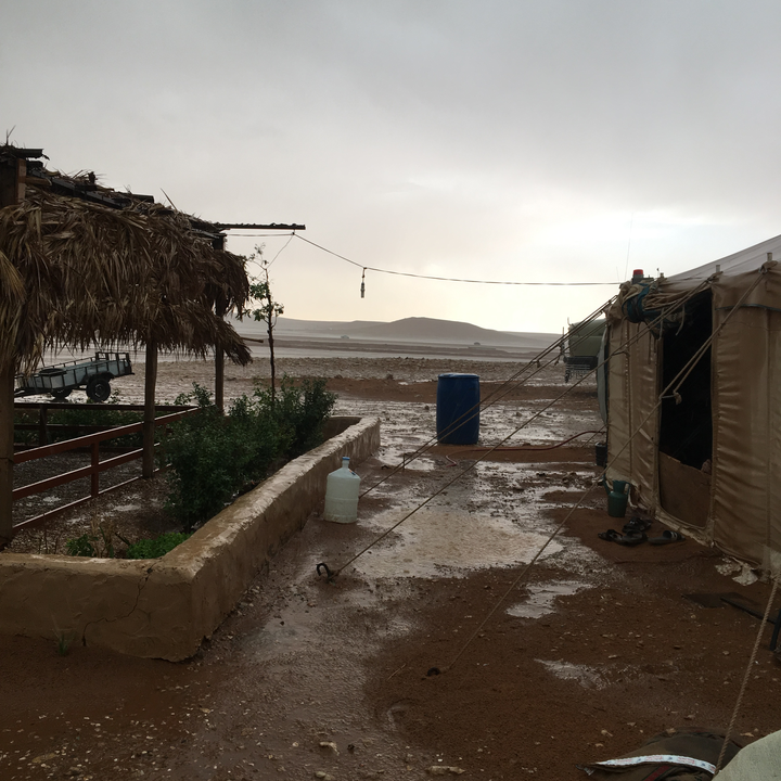 مشاركاتي في أنت الراصد