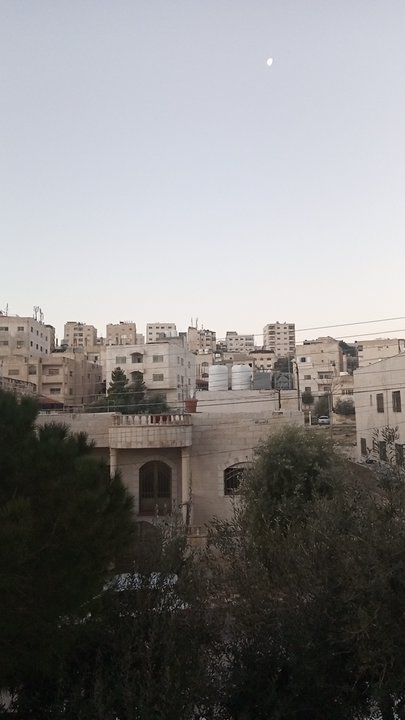 مشاركاتي في أنت الراصد