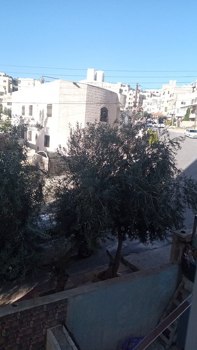 مشاركاتي في أنت الراصد