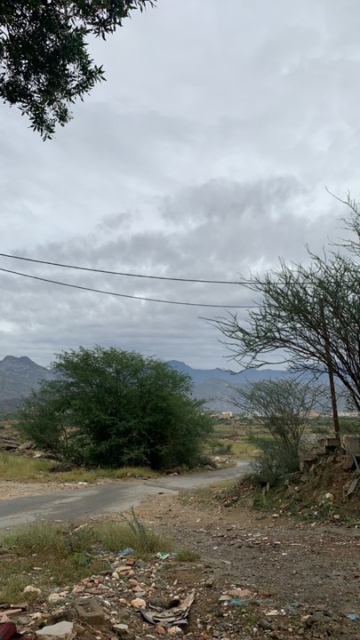 مشاركاتي في أنت الراصد