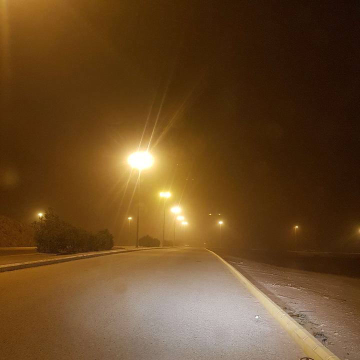 مشاركاتي في أنت الراصد