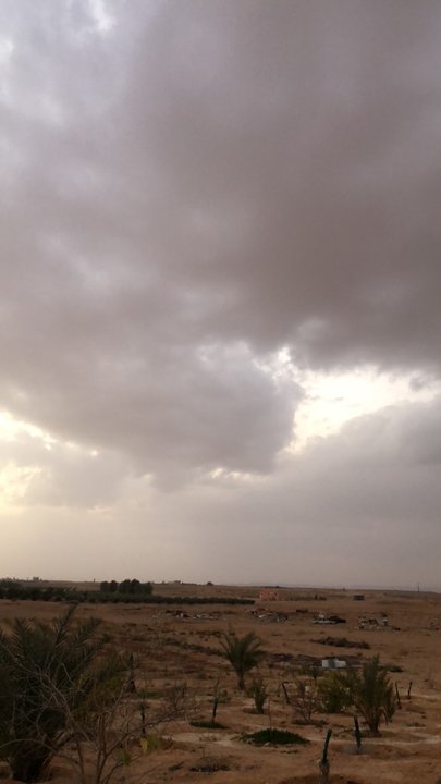 مشاركاتي في أنت الراصد