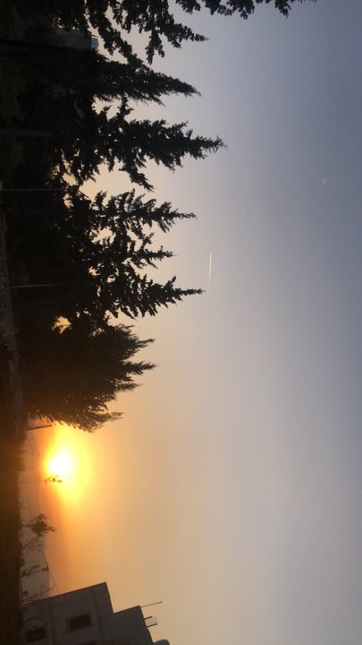 Mes publications Crowdsourcing