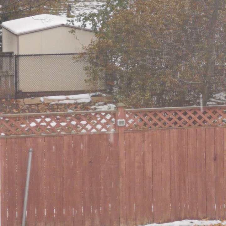 مشاركاتي في أنت الراصد