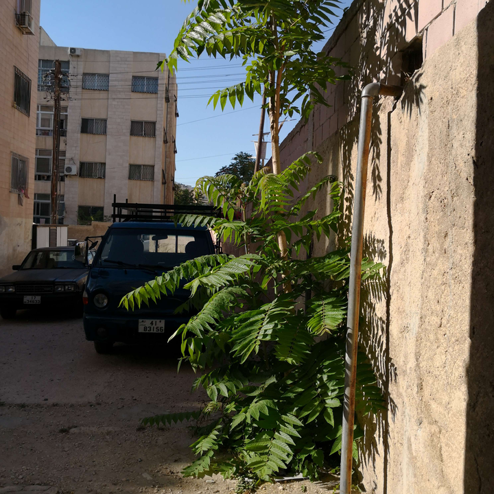 My Crowdsourcing Posts