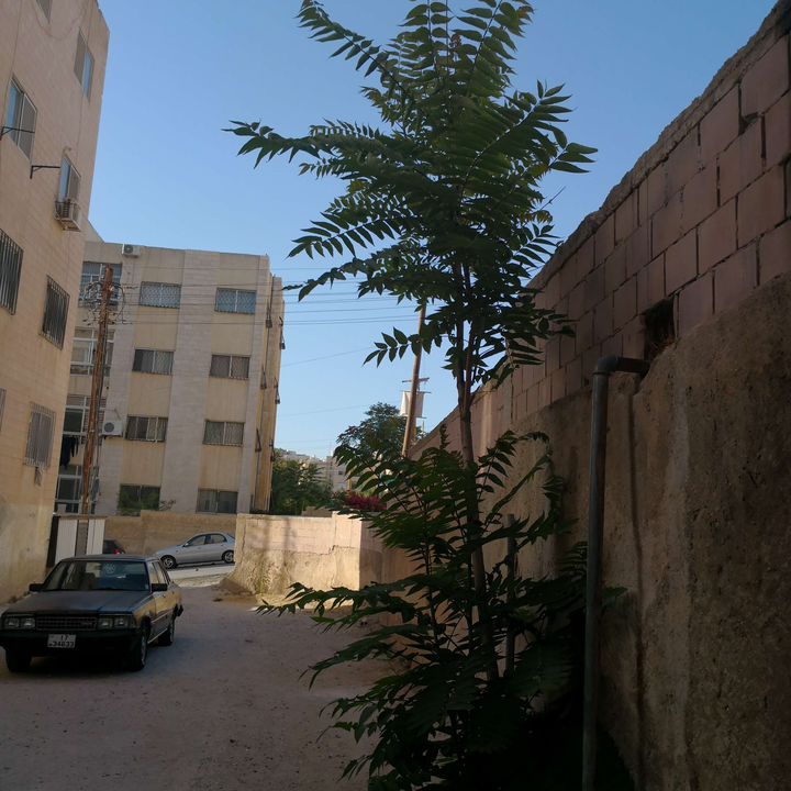 My Crowdsourcing Posts