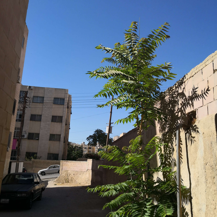 My Crowdsourcing Posts