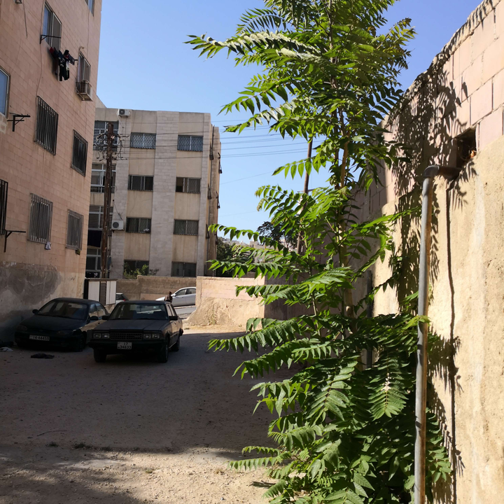 My Crowdsourcing Posts