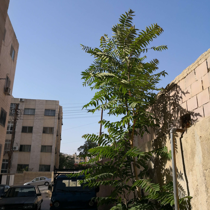 My Crowdsourcing Posts