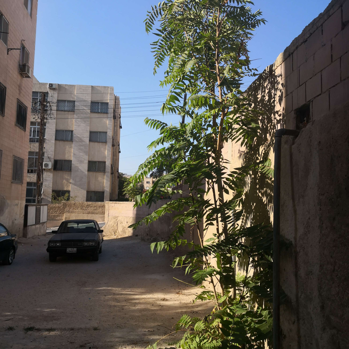 My Crowdsourcing Posts