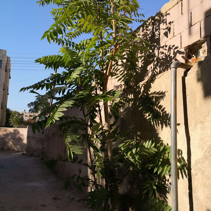 My Crowdsourcing Posts