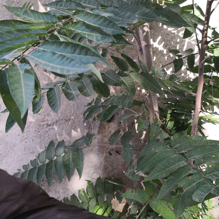 My Crowdsourcing Posts