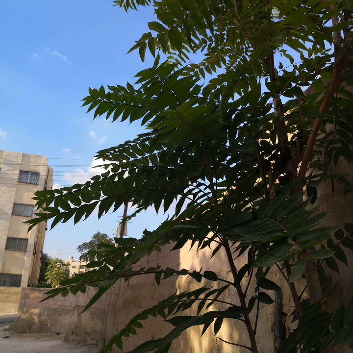 My Crowdsourcing Posts